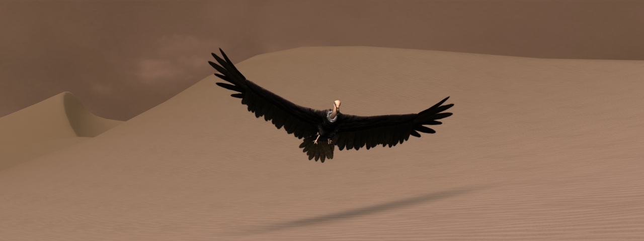 Vulture Approaching